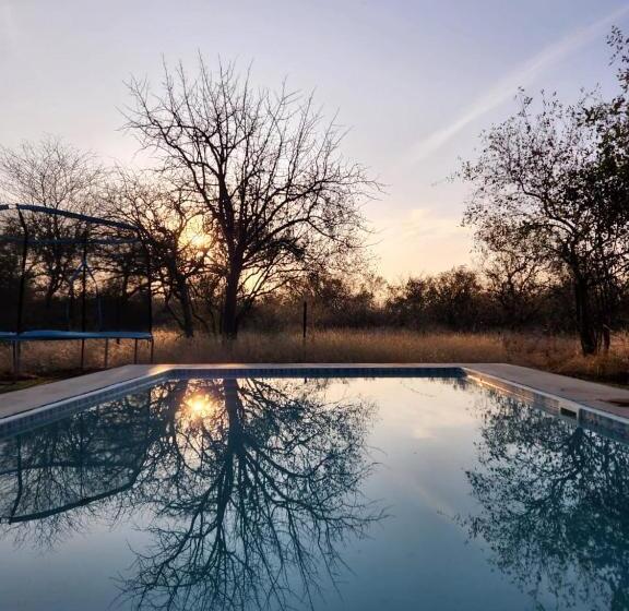 کلبه ییلاقی سوپریور یک خوابه, Simba Safaris African Pride Exotic Lodge