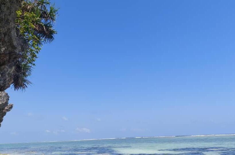 디럭스 방갈로, Mtende Beach Bungalow Océan View