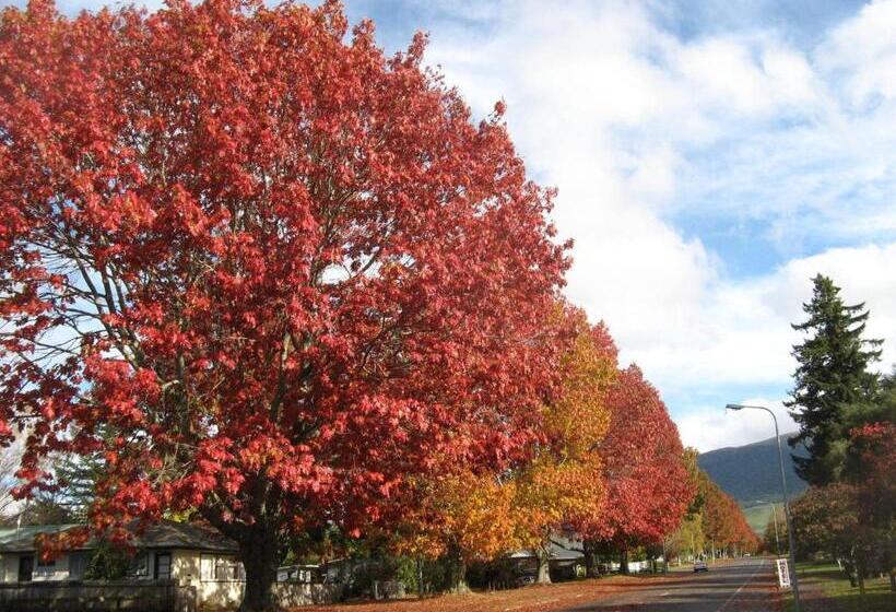 Студия Стандарт, Tongariro River Motel