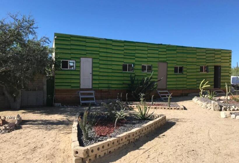 Geteiltes Mehrbettzimmer, Susu’z Village Hostel And Rooms
