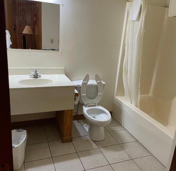 Апартаменты 1 Спальня, Pine Valley Motel