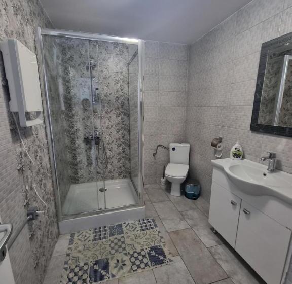 آپارتمان 2 خوابه, Casa Musceleana