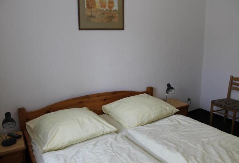 Номер Стандарт, Pension Locarno