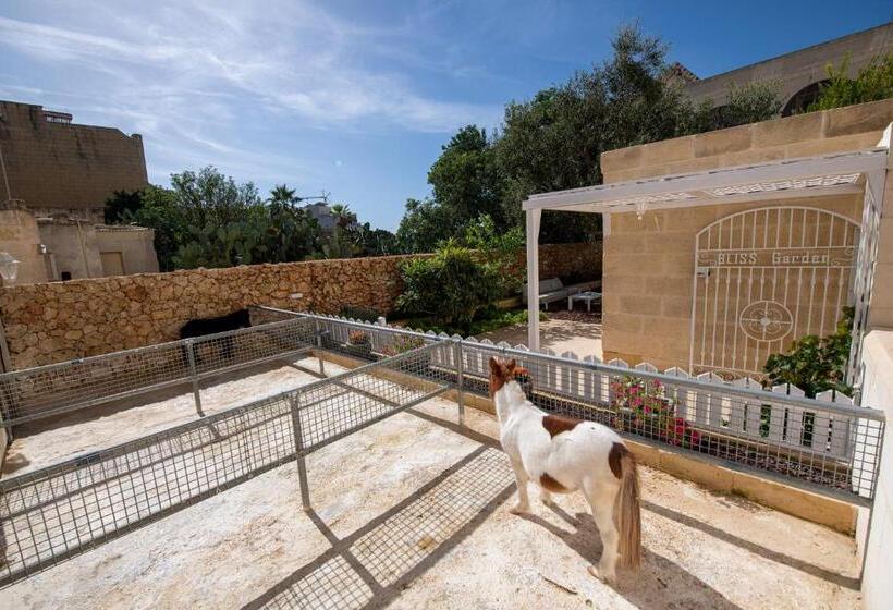 اتاق استاندارد, Bliss Boutique Living