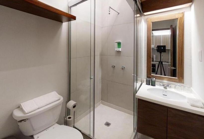 Suite Cama King, Tokio Suites
