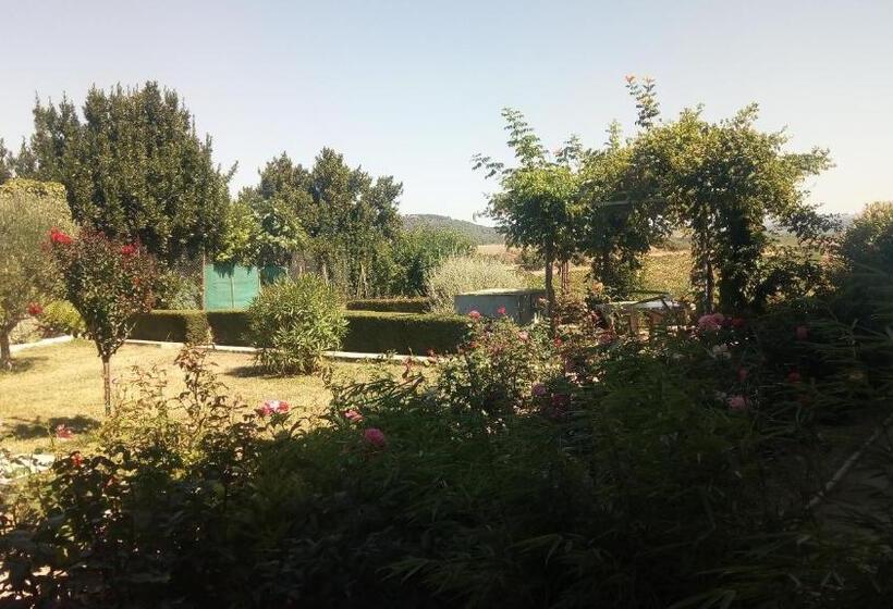 Номер Стандарт, La Vigneronne
