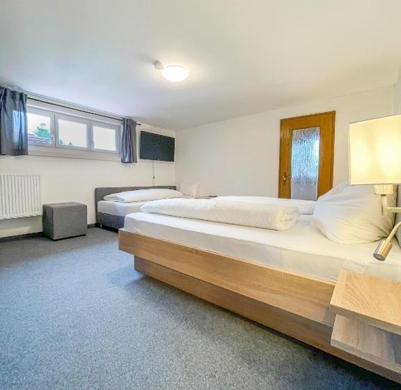 Номер Стандарт, Mountain Hostel City