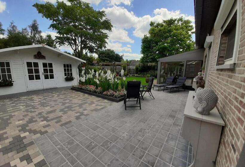 اتاق استاندارد با تراس, B&b Cosiness