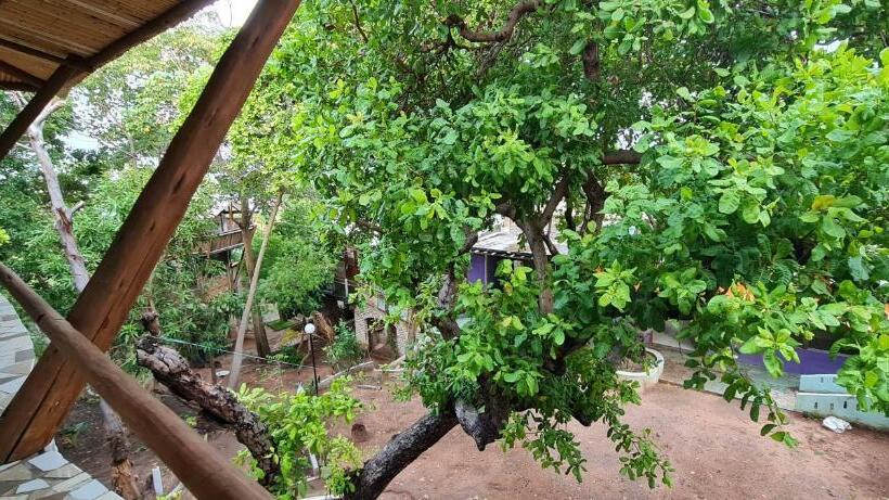 标准间, Pousada Bodega Da Terra