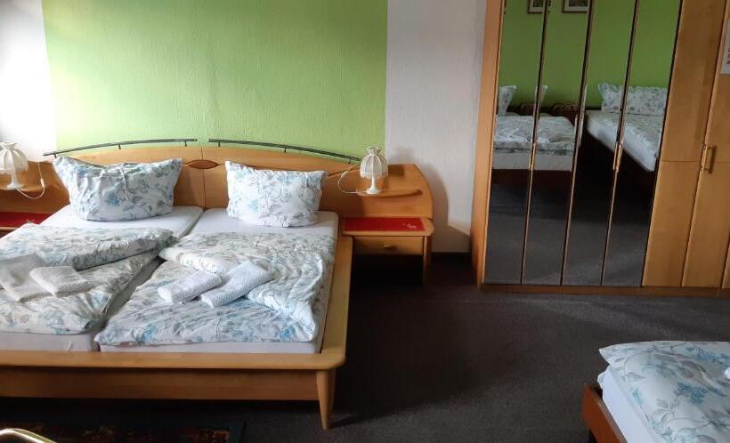 Номер Стандарт, Pension Hirsch/schwan