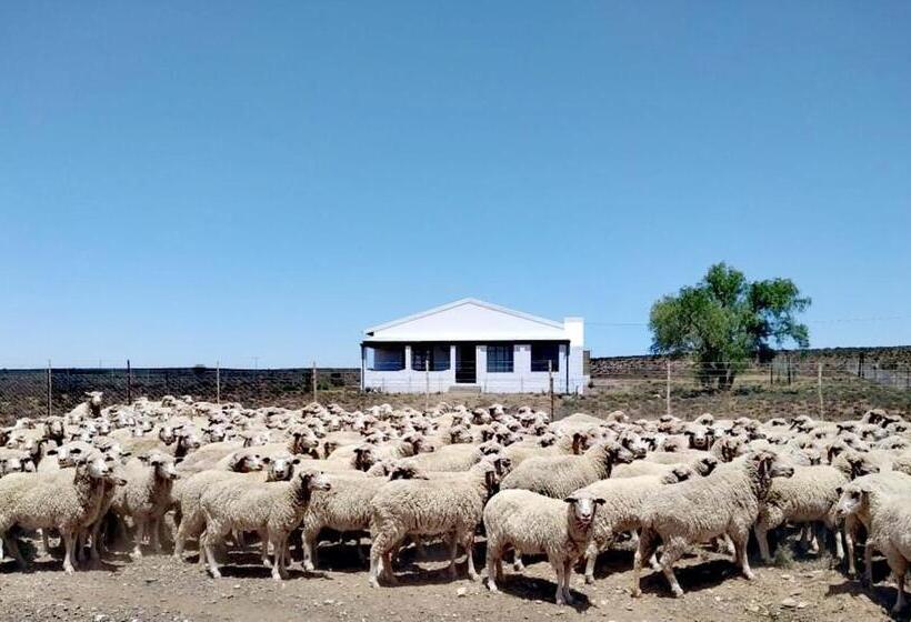 Номер Стандарт, Karoo Secret