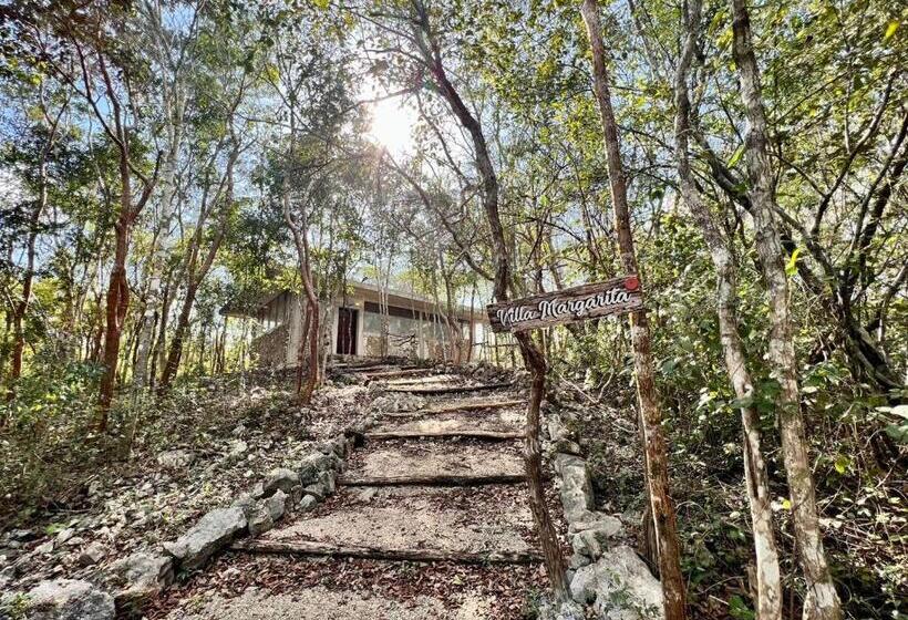 套房带园景, El Encanto   Hotel Boutique