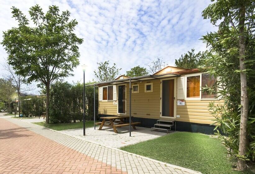 بانگلوی استاندارد, Hu Roma Camping In Town