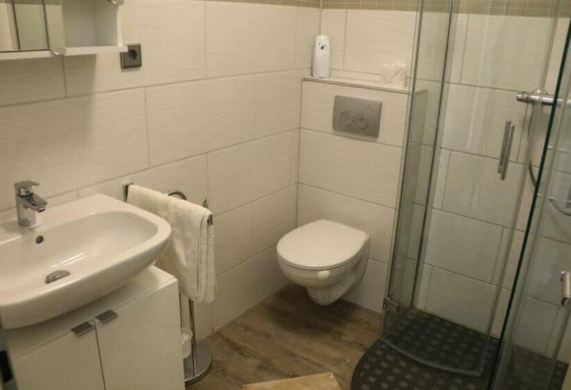 Номер Стандарт, Pension Florion