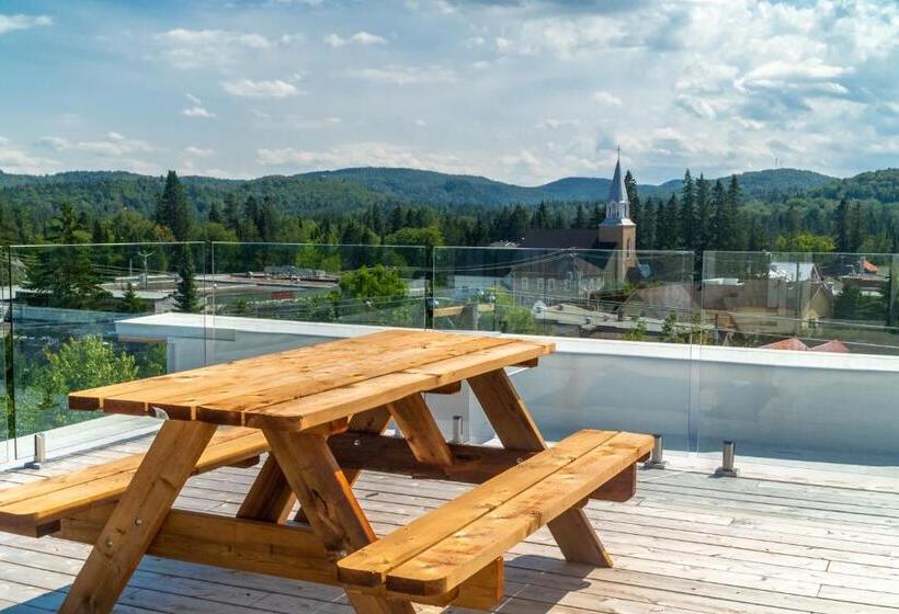 Апартаменты Superior 1 Спальня, Hôtel Appartements De La Gare