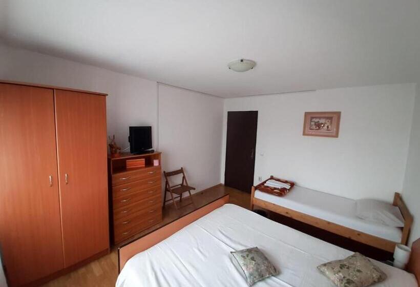 اتاق استاندارد سه نفره, Sport Hostel Cluj