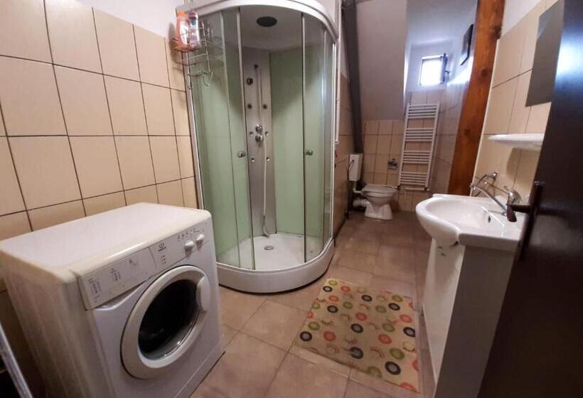 اتاق استاندارد سه نفره, Sport Hostel Cluj