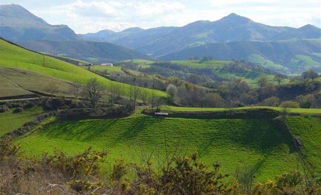 豪华房间, Domaine Xixtaberri