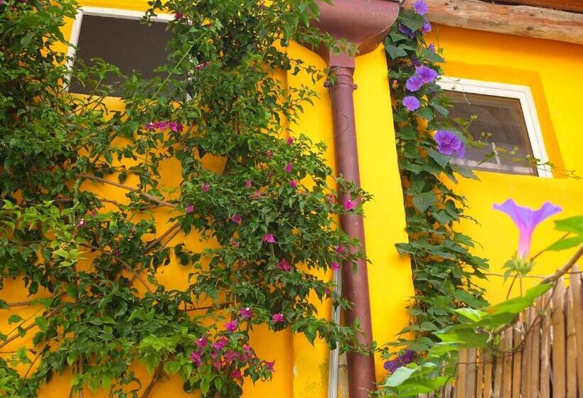 Люкс Дюплекс, La Maison Jaune