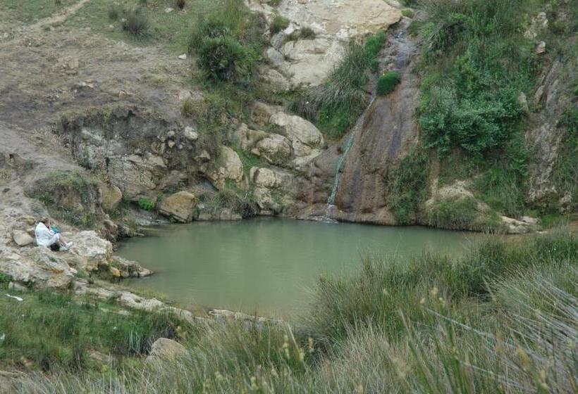 اتاق استاندارد, Darmimouna