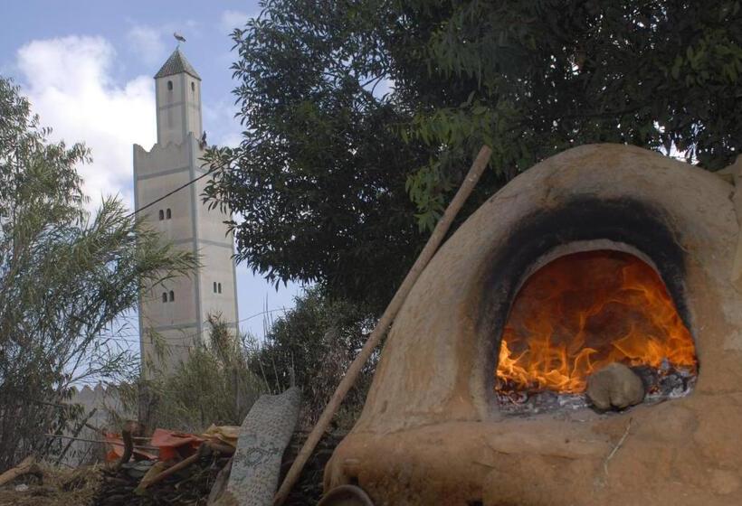 اتاق استاندارد, Darmimouna