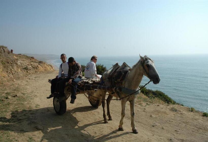 اتاق لوکس, Darmimouna