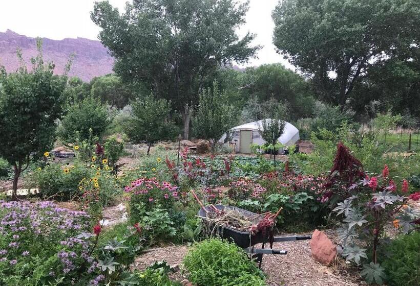اتاق سوپریور, Red Moon Lodge