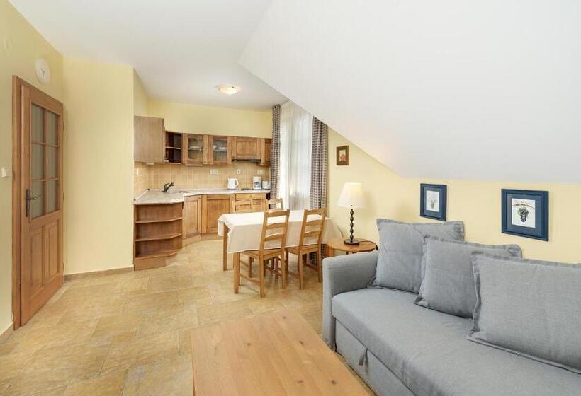 דירה בת חדר שינה 1 עם מרפסת, Pension Aspen
