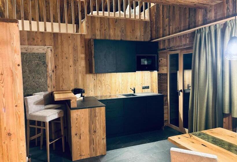 Апартаменты 1 Спальня, Stegerhof