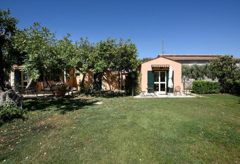 اتاق استاندارد با چشم‌انداز باغ, Karrua House   Magnolia Room