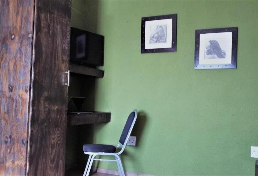 스탠다드 스튜디오, Arek S Place