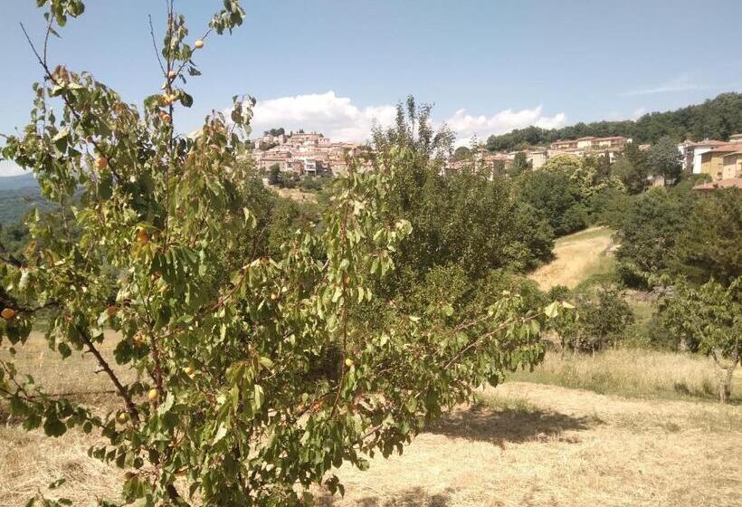 Номер Стандарт, La Casa Delle Stelle Appartamento