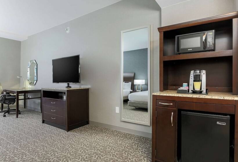 Номер Стандарт 2 Двуспальные Кровати, Hilton Garden Inn Arlington Shirlington