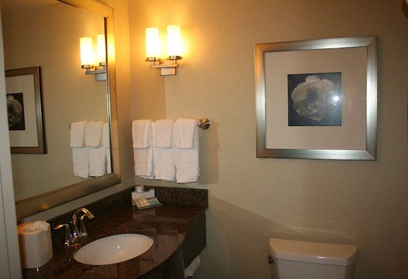 适合残疾人士使用的套间, Hilton Garden Inn Charlotte/concord