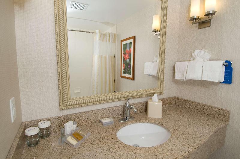 Стандартный Номер Кровать Кинг, Hilton Garden Inn Troy
