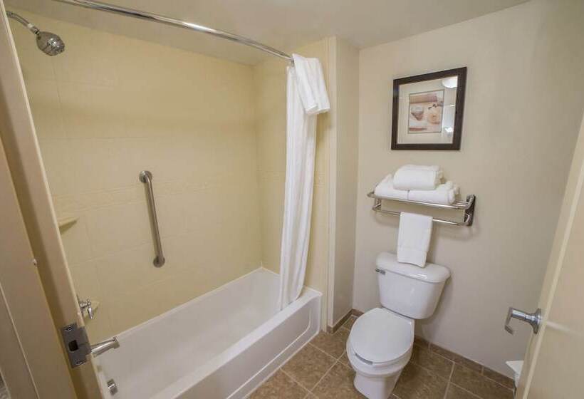 Полулюкс Премиум, Homewood Suites By Hilton Davidson