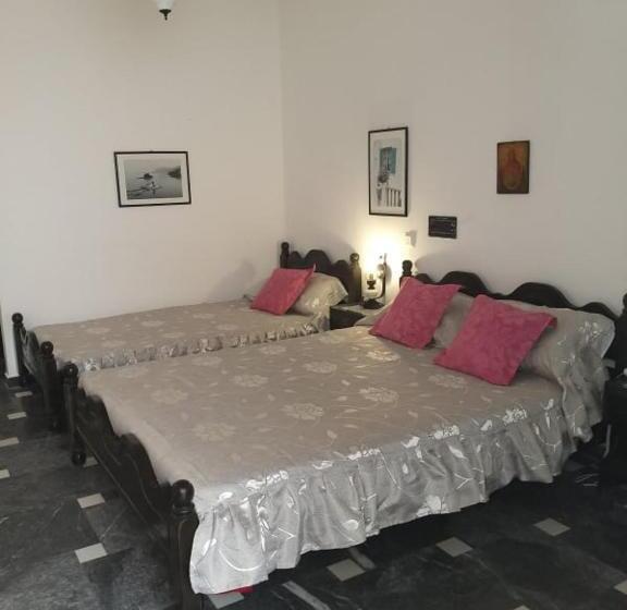 Quarto Triplo Estandar, Koralli