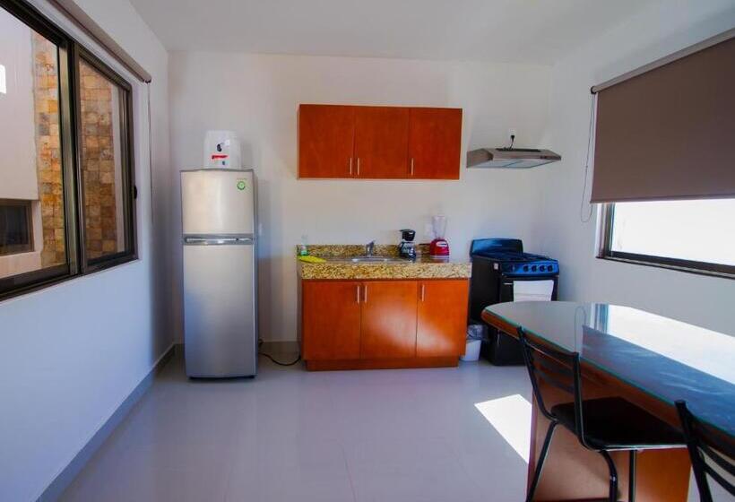 Appartamento 1 Camera da Letto, Suite Isla Mujeres