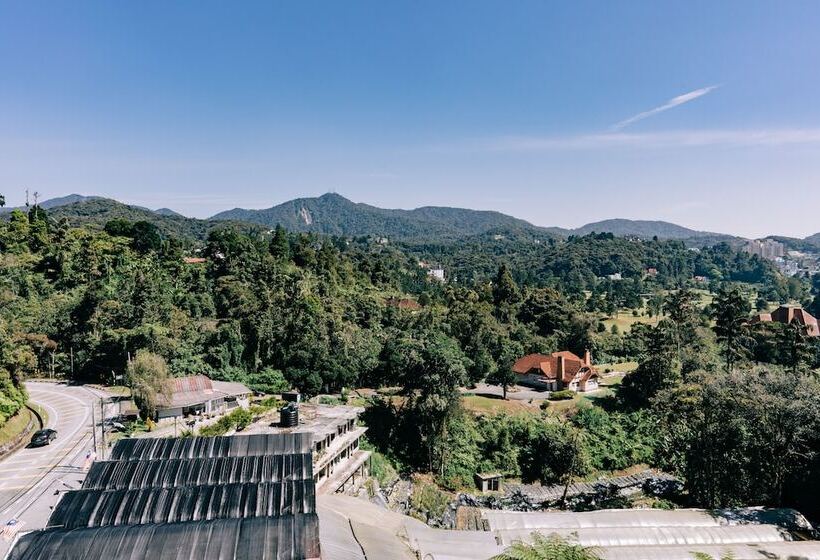 اتاق لوکس چهار تخته, De  La Ferns, Cameron Highlands