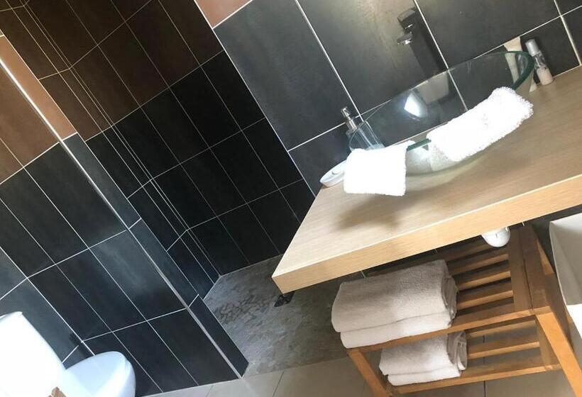 Номер Стандарт Вид на Сад, Villa Des Romieux