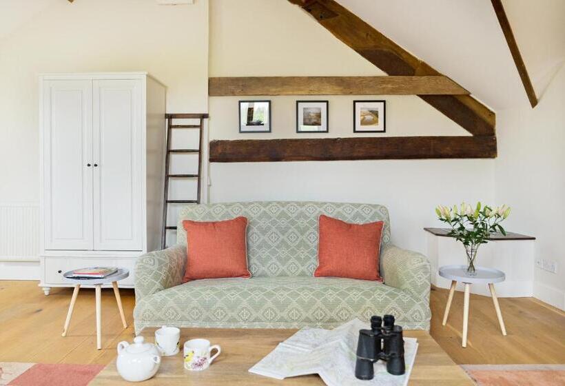 Люкс, Neuadd B&b Suites