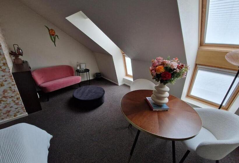 Номер Superior, Boutique Hotel De Raetskamer