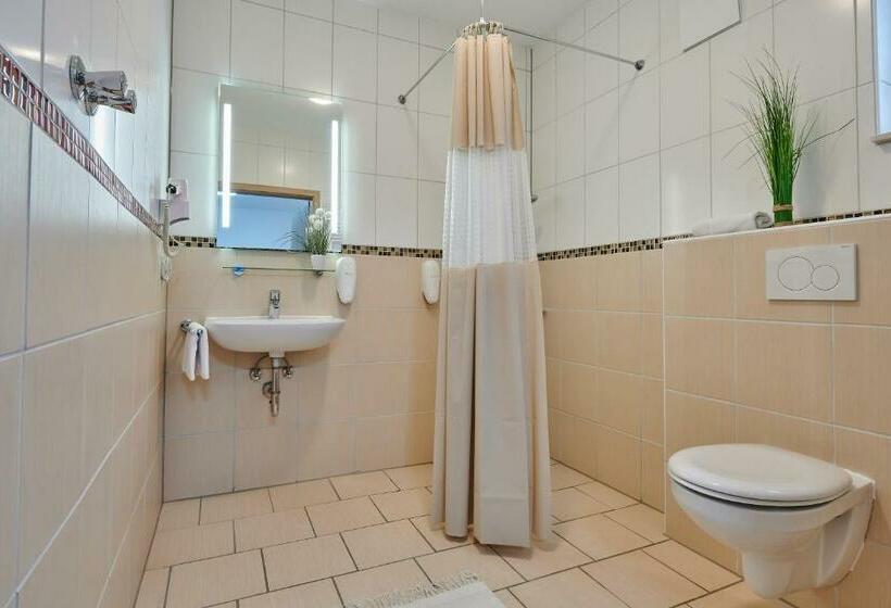 ビジネスルーム, Sunny Hotel Straubing