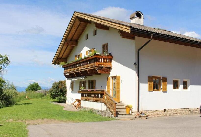 Апартаменты 1 Спальня с Балконом, Putzerhof