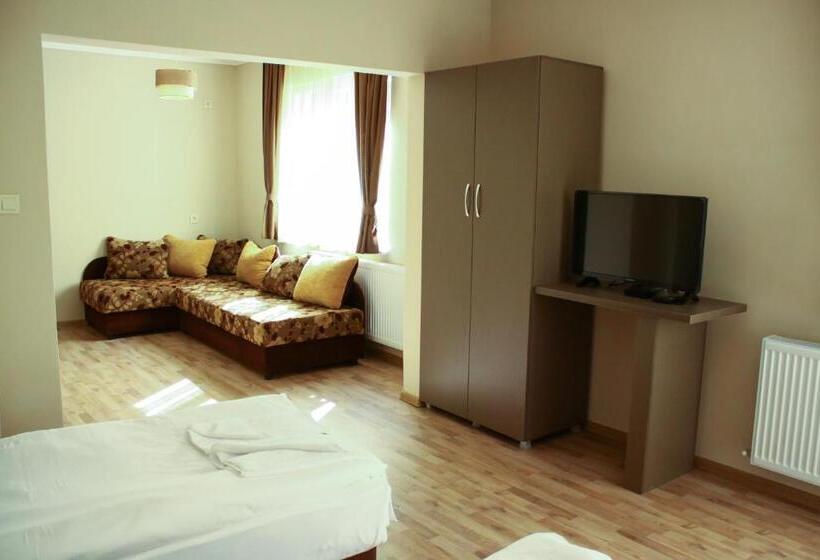 带城市景观的高级房间, Guest House Central