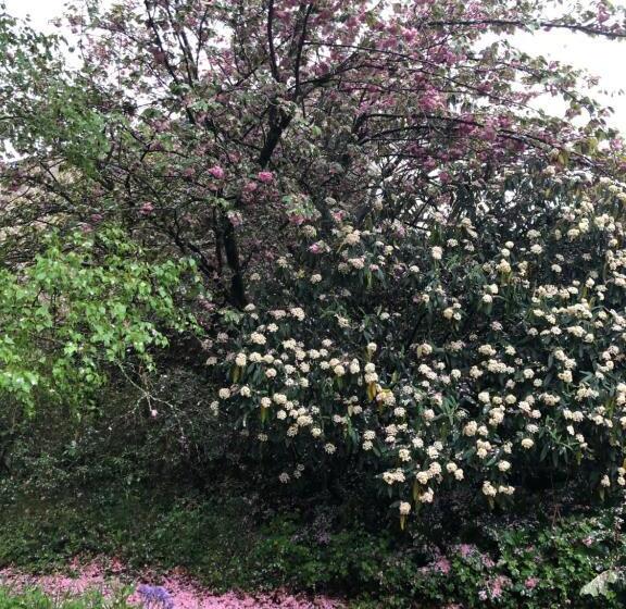 Апартаменты 1 Спальня Вид на Сад, Au Rez De Jardin