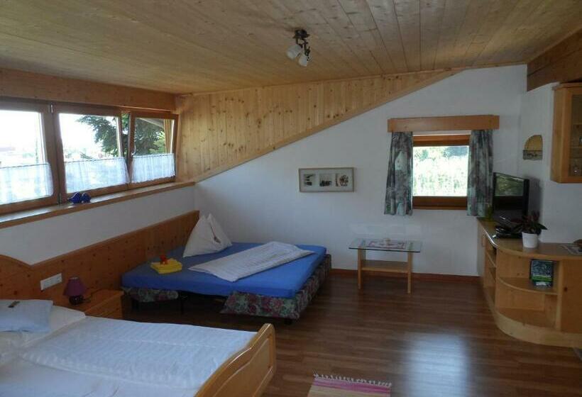 آپارتمان 1 خوابه با بالکن, Burggräflerhof