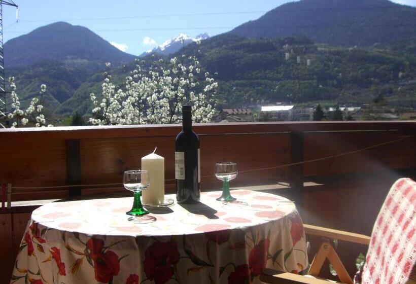 آپارتمان 1 خوابه, Burggräflerhof