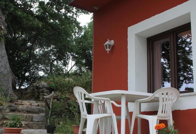 Номер Стандарт, B&b Kikina