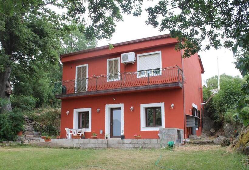 Номер Стандарт, B&b Kikina